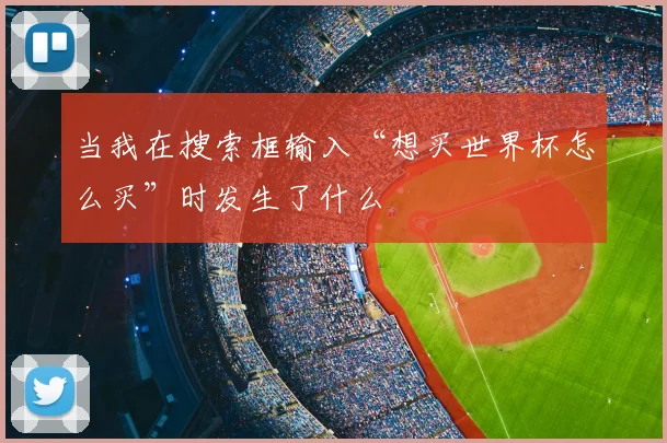 当我在搜索框输入“想买世界杯怎么买”时发生了什么
