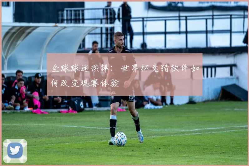 全球球迷热捧：世界杯竞猜软件如何改变观赛体验