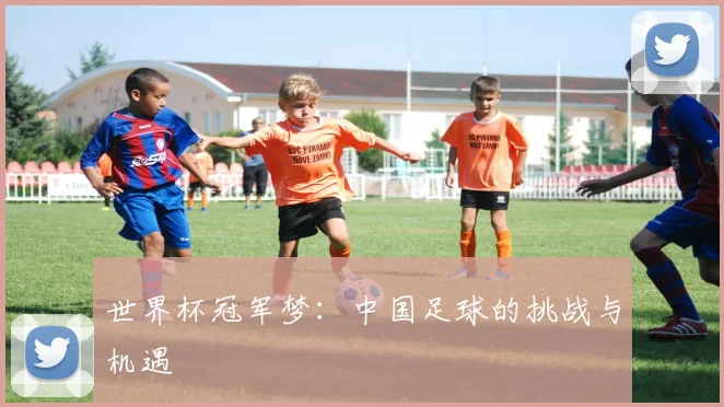 世界杯冠军梦:中国足球的挑战与机遇
