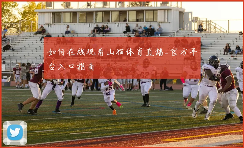 如何在线观看山猫体育直播_官方平台入口指南