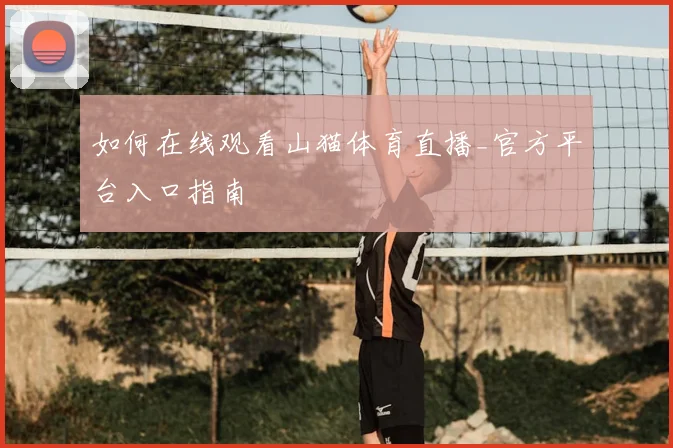 如何在线观看山猫体育直播_官方平台入口指南