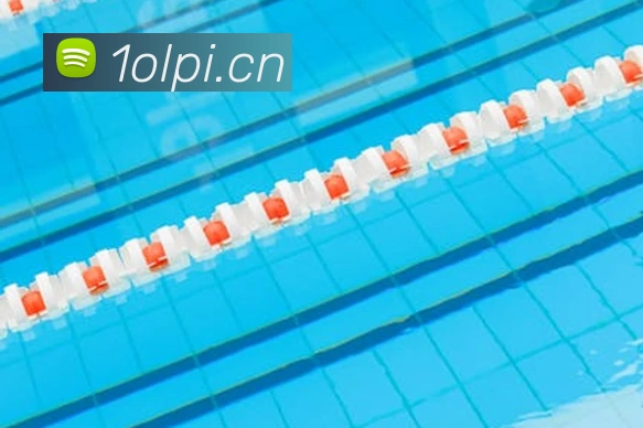 乐鱼在线登录入口官网平台生态图